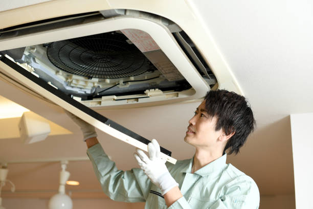 Best Air Duct Cleaning Near Me  in Mendota, IL