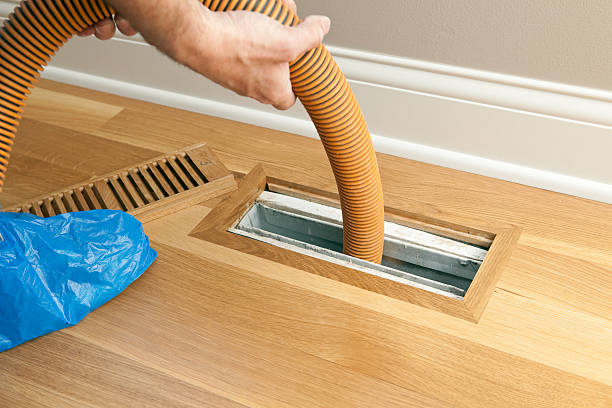 Best Affordable Duct Cleaning Services  in Mendota, IL