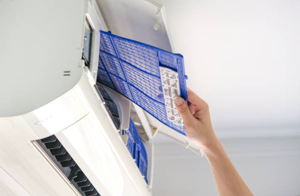 Best Ductwork Cleaning Services  in Mendota, IL
