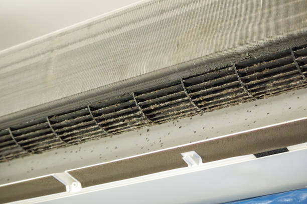 Best Affordable HVAC Duct Cleaning  in Mendota, IL