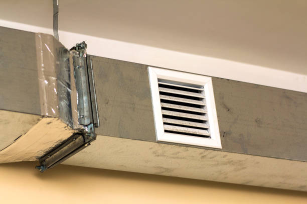 Best HVAC Air Duct Cleaning  in Mendota, IL